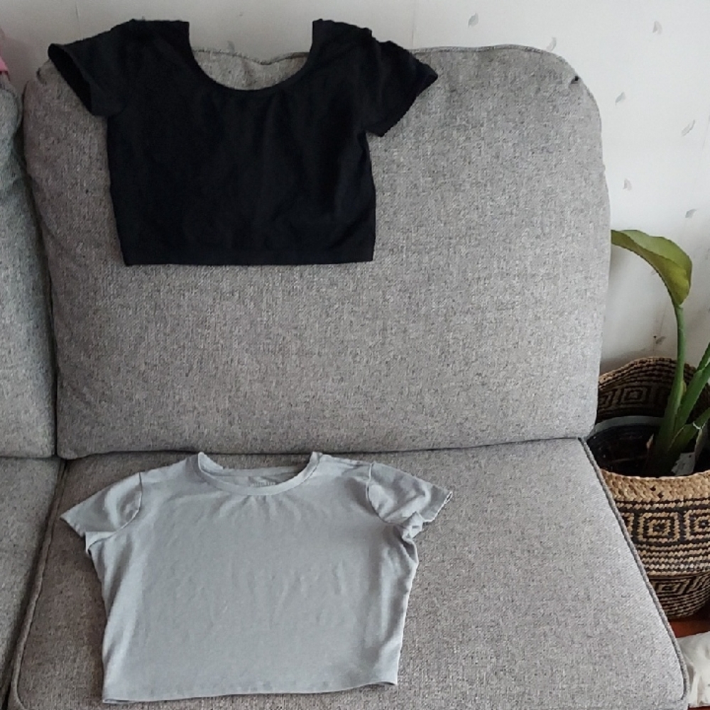 Hollister and American Eagle Black and Gray Short Sleeve Tees
